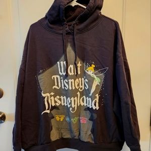Disney100 Disneyland cropped sweatshirt, size 2x